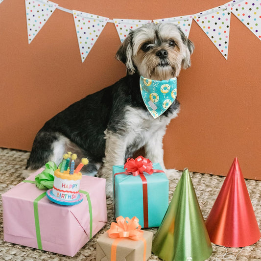 Personalised Dog Bandana – Custom Printed Pet Scarf with Full-Colour Sublimation Design